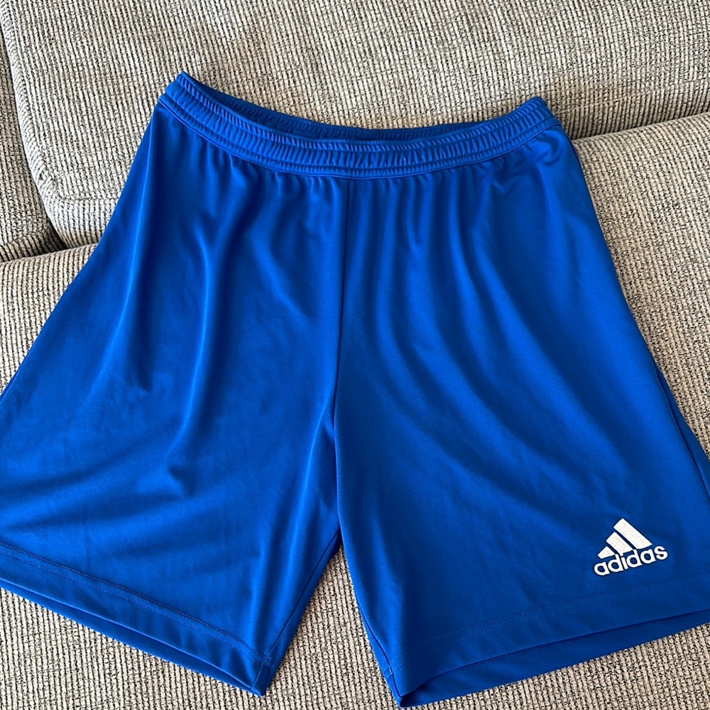 Adidas Men's Blue Shorts